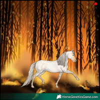 Horse Color:Gold Cream Champagne Roan Dun 