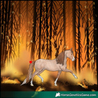 Horse Color:Gold Champagne Roan Splash