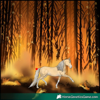 Horse Color:Gold Cream Champagne Splash 