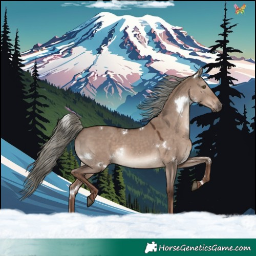 Horse Color:White Spotted Liver Red Dun Mushroom Rabicano 