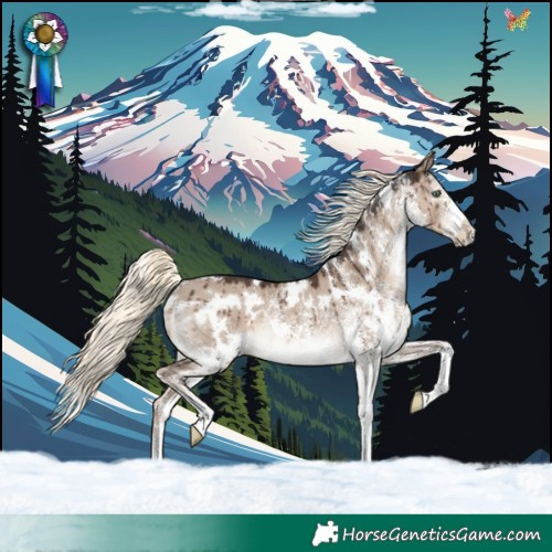 Horse Color:White Spotted Liver Red Dun Mushroom Rabicano Brindle 