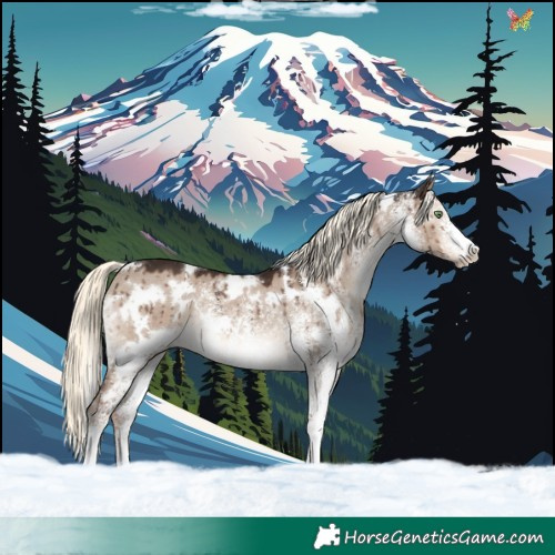 Horse Color:White Spotted Liver Red Dun Mushroom Rabicano Brindle 