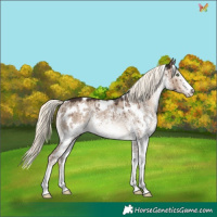 Horse Color:White Spotted Liver Red Dun Mushroom Rabicano Brindle 