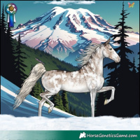 Horse Color:White Spotted Liver Red Dun Mushroom Rabicano Brindle 
