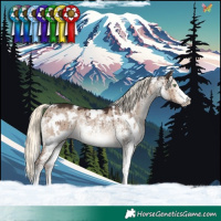 Horse Color:White Spotted Liver Red Dun Mushroom Rabicano Brindle