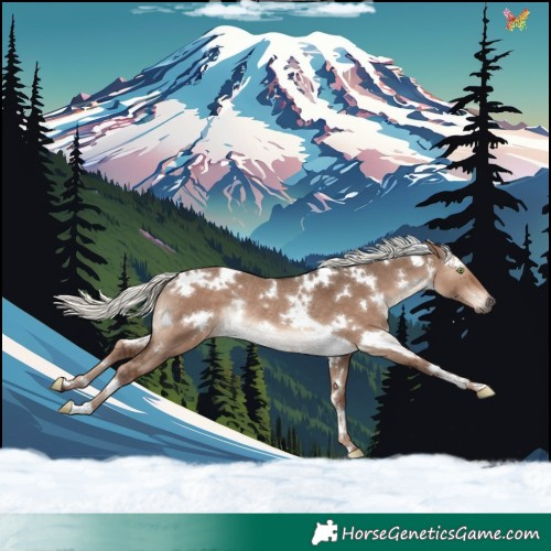 Horse Color:White Spotted Liver Red Dun Mushroom Rabicano 