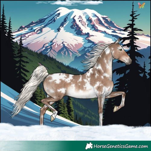 Horse Color:White Spotted Liver Red Dun Mushroom Rabicano 