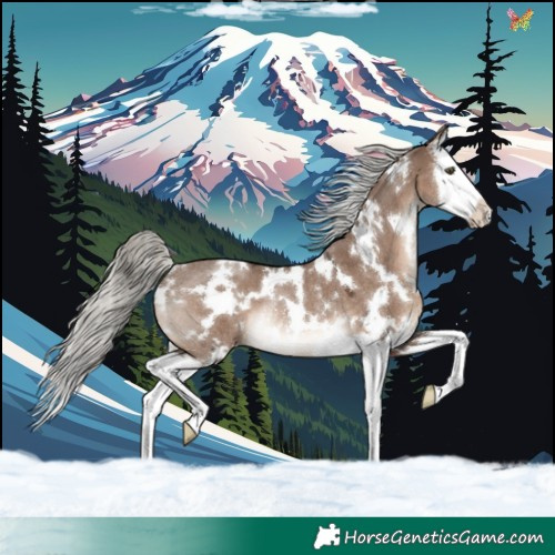 Horse Color:White Spotted Liver Red Dun Mushroom Splash Rabicano 