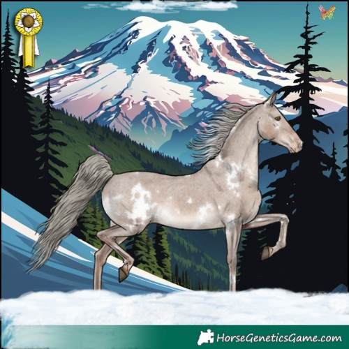 Horse Color:White Spotted Liver Red Dun Mushroom Appaloosa Rabicano 