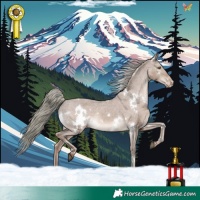 Horse Color:White Spotted Liver Red Dun Mushroom Appaloosa Rabicano 
