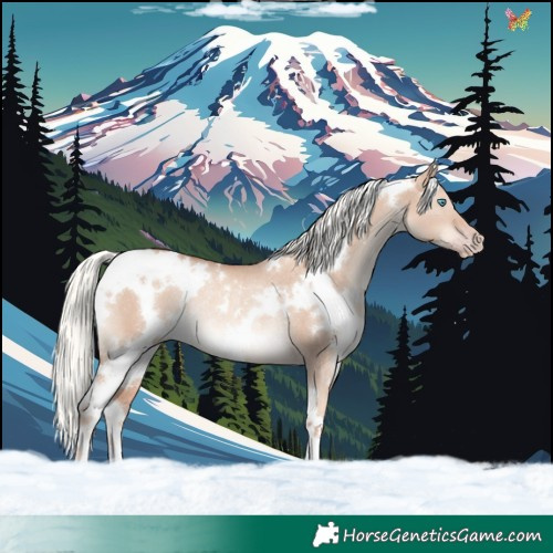 Horse Color:White Spotted Gold Champagne Dun Mushroom Rabicano 