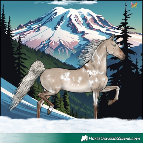 Horse Color:White Spotted Liver Red Dun Mushroom Rabicano 