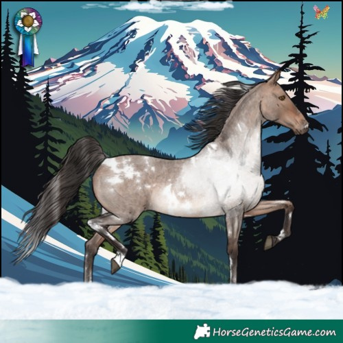Horse Color:White Spotted Bay Roan Dun Mushroom Rabicano 