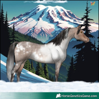 Horse Color:White Spotted Bay Roan Dun Mushroom Rabicano 