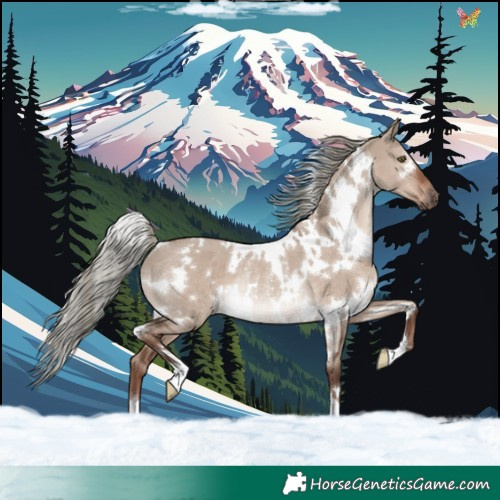 Horse Color:White Spotted Liver Red Dun Mushroom Rabicano 