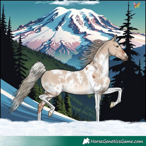 Horse Color:White Spotted Red Dun Mushroom Tobiano Rabicano 