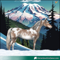 Horse Color:White Spotted Liver Red Dun Mushroom Rabicano 