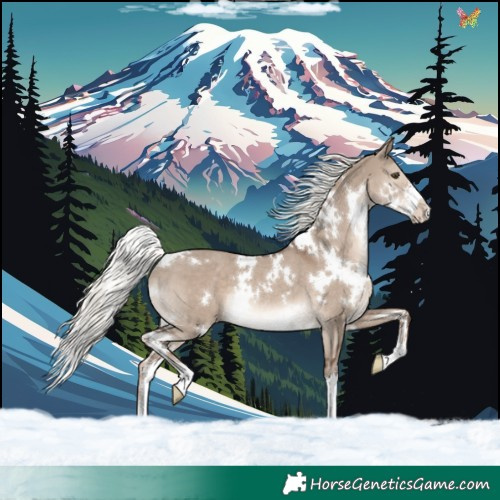 Horse Color:White Spotted Liver Red Dun Mushroom Sabino Rabicano 