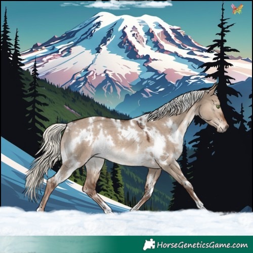 Horse Color:White Spotted Liver Red Dun Mushroom Rabicano 