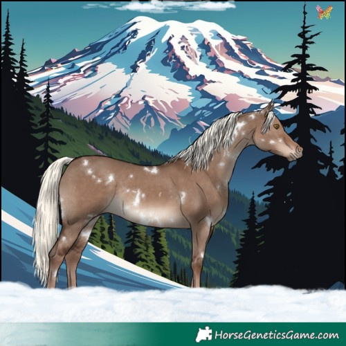 Horse Color:White Spotted Liver Red Dun Mushroom Rabicano 