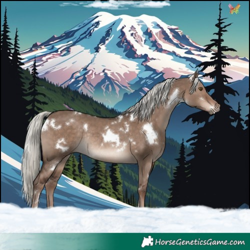 Horse Color:White Spotted Liver Red Dun Mushroom Rabicano 