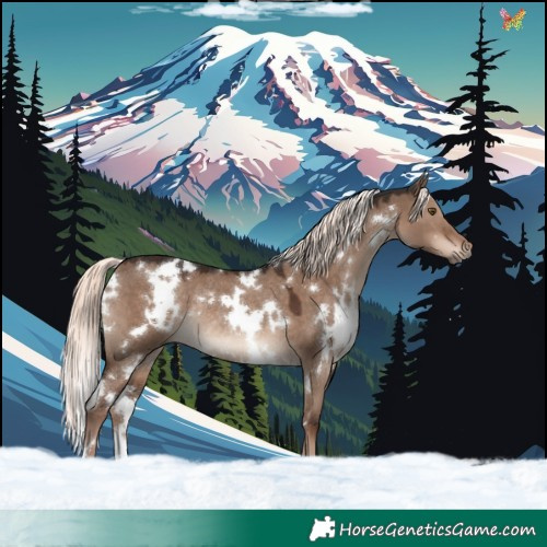 Horse Color:White Spotted Liver Red Dun Mushroom Rabicano 