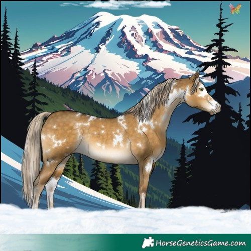 Horse Color:White Spotted Chocolate Palomino Dun Mushroom Rabicano 