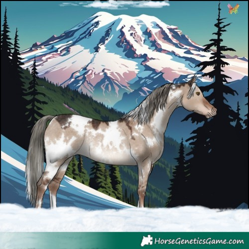 Horse Color:White Spotted Liver Red Dun Mushroom Rabicano 