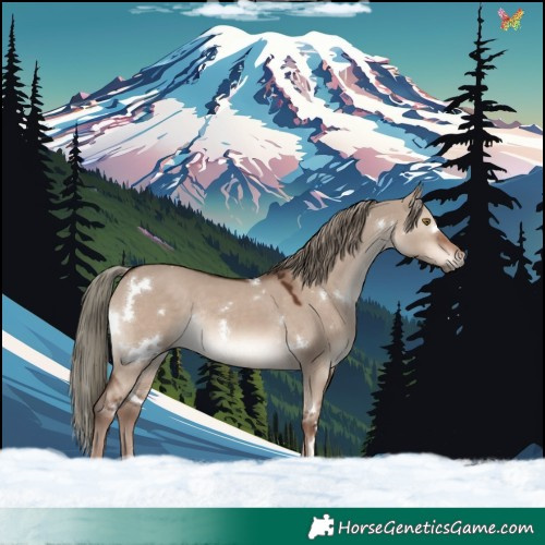 Horse Color:White Spotted Liver Red Dun Mushroom Rabicano 