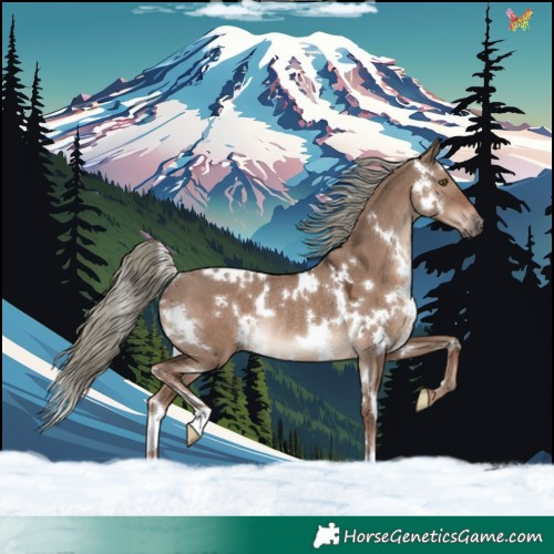 Horse Color:White Spotted Liver Red Dun Mushroom Rabicano 