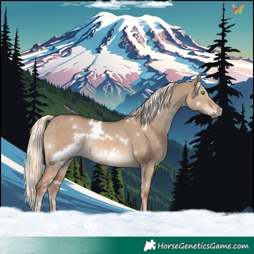 Horse Color:White Spotted Red Dun Mushroom Rabicano 