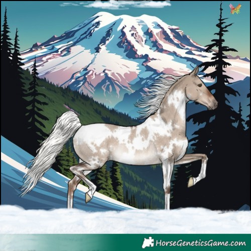 Horse Color:White Spotted Liver Red Dun Mushroom Rabicano 