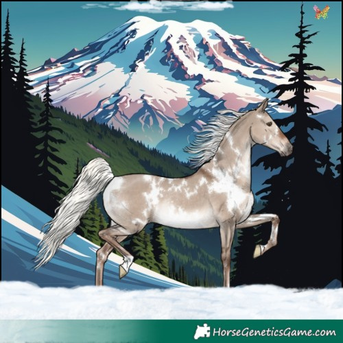 Horse Color:White Spotted Liver Red Dun Mushroom Rabicano 