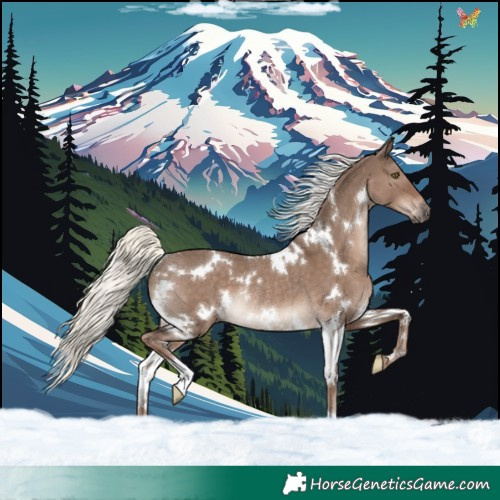 Horse Color:White Spotted Liver Red Dun Mushroom Rabicano 