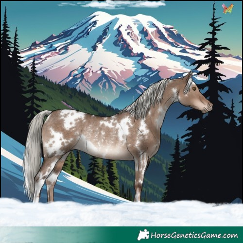 Horse Color:White Spotted Liver Red Dun Mushroom Rabicano 