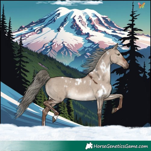 Horse Color:White Spotted Liver Red Dun Mushroom Rabicano 