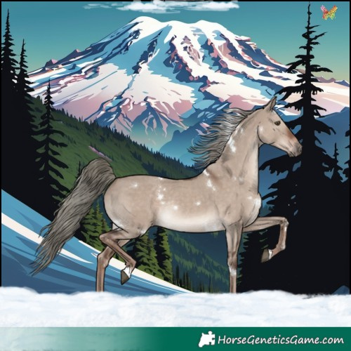 Horse Color:White Spotted Liver Red Dun Mushroom Rabicano 