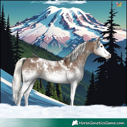 Horse Color:White Spotted Liver Red Dun Mushroom Rabicano 