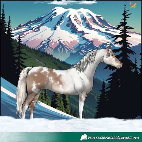 Horse Color:White Spotted Liver Red Dun Mushroom Tobiano Rabicano 