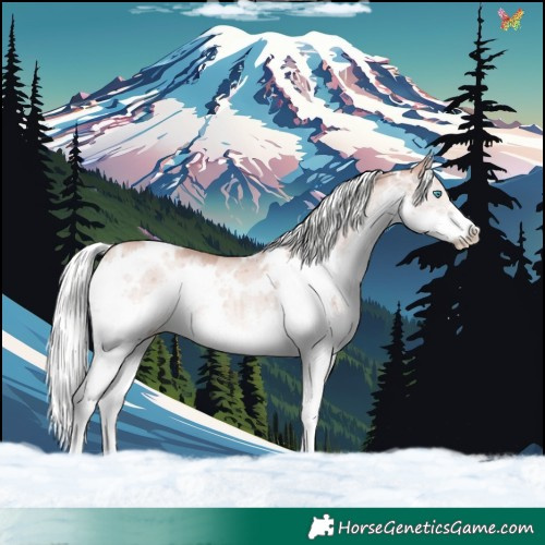 Horse Color:White Spotted Gold Champagne Dun Mushroom Splash Rabicano Brindle 