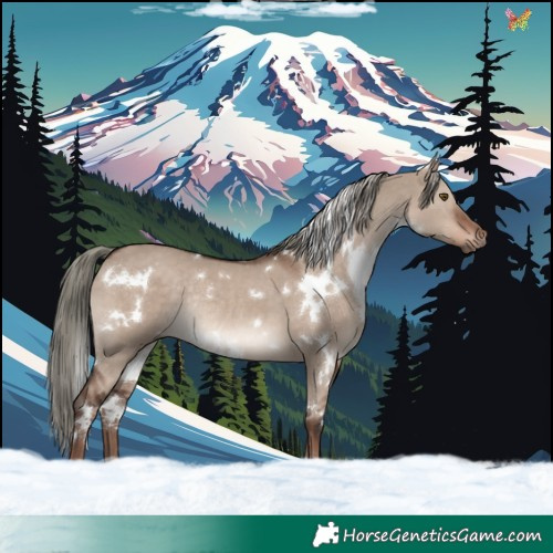 Horse Color:White Spotted Liver Red Dun Mushroom Rabicano 