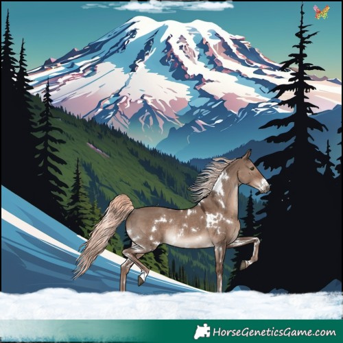 Horse Color:White Spotted Liver Red Dun Mushroom Rabicano 