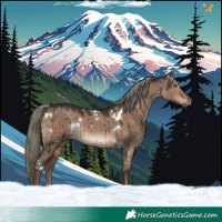 Horse Color:White Spotted Liver Red Dun Mushroom Rabicano Brindle 