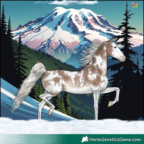 Horse Color:White Spotted Liver Red Dun Mushroom Splash Rabicano 