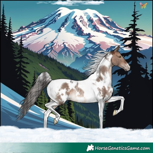 Horse Color:White Spotted Brown Dun Mushroom Tobiano Rabicano 