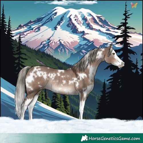 Horse Color:White Spotted Liver Red Dun Mushroom Splash Rabicano 