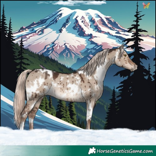 Horse Color:White Spotted Liver Red Dun Mushroom Rabicano Brindle 