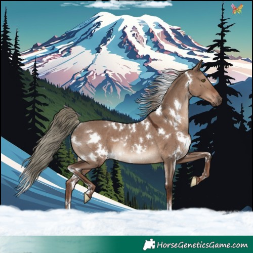 Horse Color:White Spotted Liver Red Dun Mushroom Rabicano 