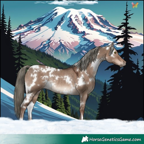 Horse Color:White Spotted Liver Red Dun Mushroom Rabicano 