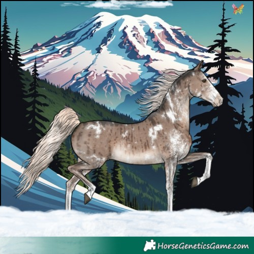 Horse Color:White Spotted Liver Red Dun Mushroom Rabicano Brindle 